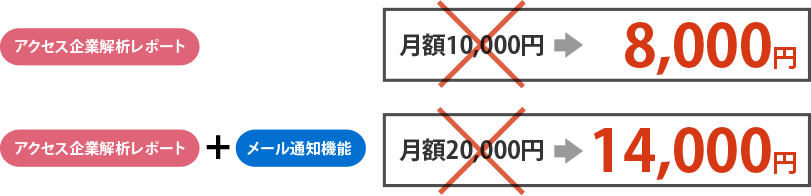 アクセス企業解析レポート料金表